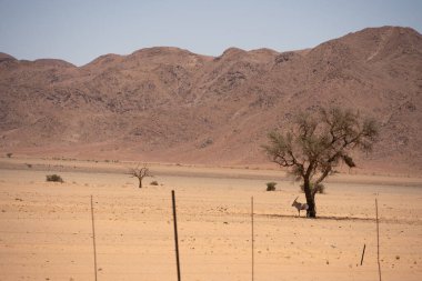 Road in the Namib-Naukluft region, Namibia