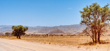 Road from Mariental to Sossusvlei, Namibia