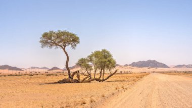 Road from Mariental to Sossusvlei, Namibia