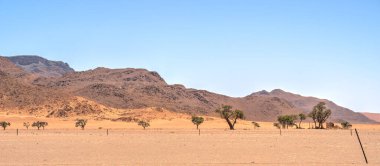 Road from Mariental to Sossusvlei, Namibia