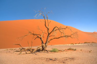 Namib Desert Dunes around Sossusvlei, HDR Image