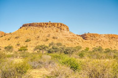 Auob River Valley, Kalahari, Namibia