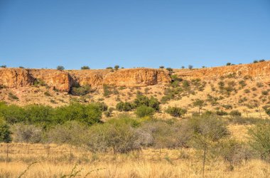 Auob River Valley, Kalahari, Namibia