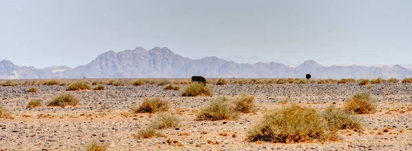 Road Mariental Sossusvlei Namibia — Stockfoto