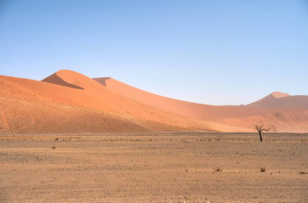 Namib Woestijn Duinen Rond Sossusvlei Hdr Afbeelding — Stockfoto