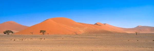 Namib Desert Dunes Sossusvlei Hdr Image — Stockfoto