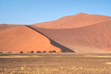 Namib Desert Dunes around Sossusvlei, HDR Image