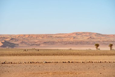 Namib Desert Dunes around Sossusvlei, HDR Image