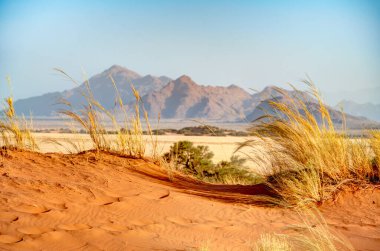 Namib Desert Dunes around Sossusvlei, HDR Image