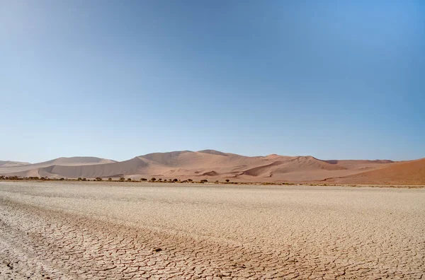 Namib Desert Dunes Sossusvlei Hdr Image — Stock fotografie