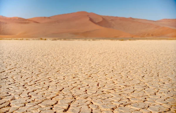 Namib Desert Dunes Sossusvlei Hdr Image —  Fotos de Stock