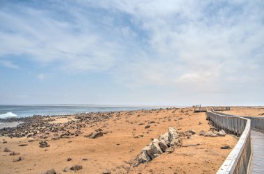 Group of seals relaxing on the sandy beach at Cape Cross Seal Reserve, Namibia