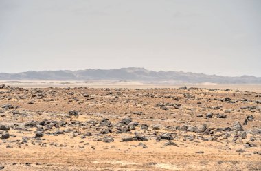 beautiful view of desert near ocean at Cape Cross Namibia