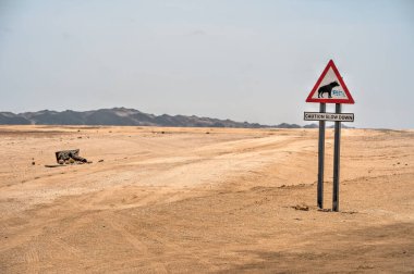 beautiful view of desert near ocean at Cape Cross Namibia