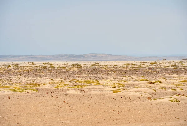 Прекрасный Вид Пустыню Возле Океана Мысе Кросс Намибия — стоковое фото