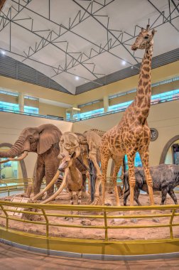 Nairobi, Kenya - Ocak 2022: Afrika El Sanatları, HDR Görüntü