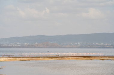 Kenya 'daki Nakuru Gölü' nün havadan görünüşü