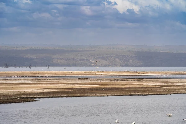 Arkasında Flamingo Sürüsü Olan Nakuru Gölü Nün Güzel Manzarası — Stok fotoğraf