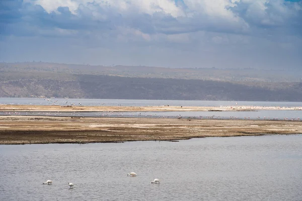 Veduta Aerea Del Pittoresco Lago Nakuru Kenya — Foto Stock