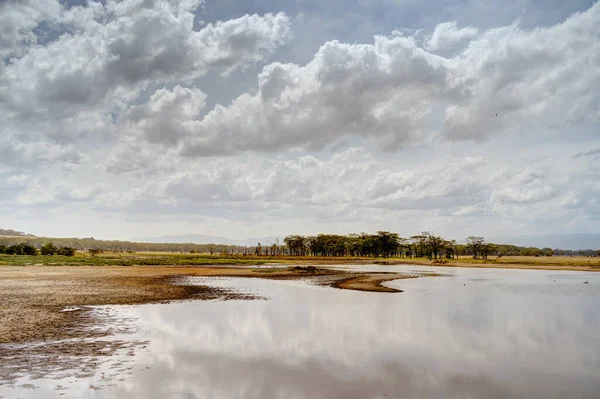 Kenya Daki Nakuru Gölü Nün Havadan Görünüşü — Stok fotoğraf
