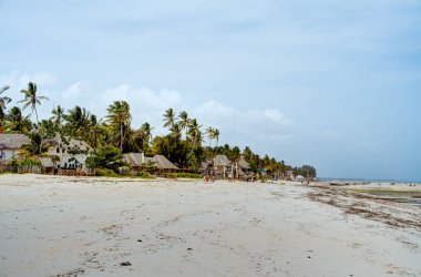 Jambiani plajı, Zanzibar doğu kıyısı, Tanzanya