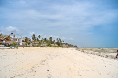 Jambiani plajı, Zanzibar doğu kıyısı, Tanzanya