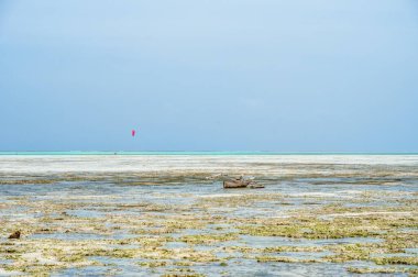 Jambiani plajı, Zanzibar doğu kıyısı, Tanzanya