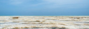 Jambiani plajı, Zanzibar doğu kıyısı, Tanzanya