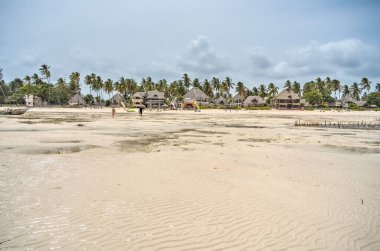 Jambiani plajı, Zanzibar doğu kıyısı, Tanzanya