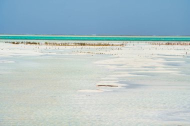 Jambiani plajı, Zanzibar doğu kıyısı, Tanzanya