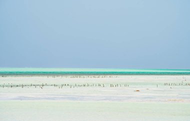 Jambiani plajı, Zanzibar doğu kıyısı, Tanzanya
