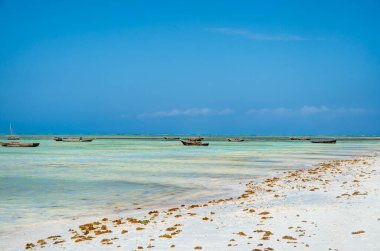 Nungwi, Zanzibar, Tanzanya - Ocak 2023: Güneşli havalarda resim plajı