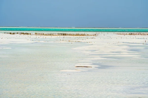 Jambiani Beach Zanzibar East Coast Tanzania — Stock Photo, Image