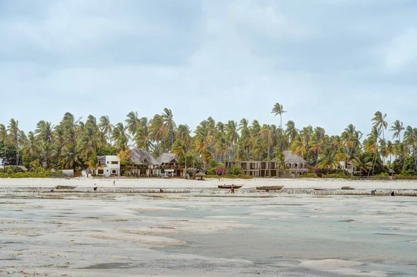 Praia Jambiani Costa Leste Zanzibar Tanzânia — Fotografia de Stock