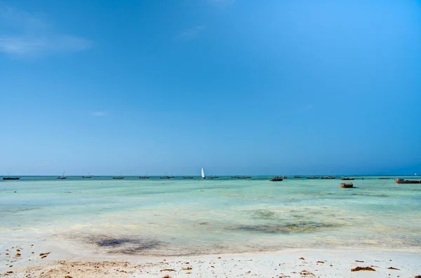 Nungwi Sansibar Tansania Januar 2023 Malerischer Strand Bei Sonnigem Wetter — Stockfoto