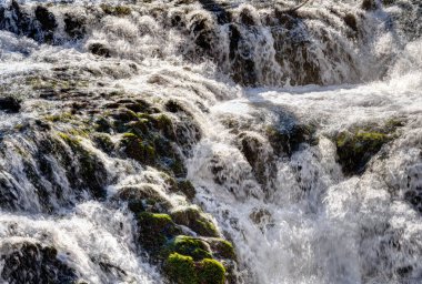 İspanya 'daki Manastır de Piedra Doğal Parkı manzarası