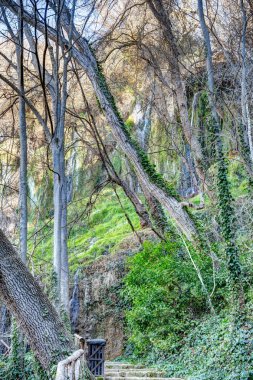 İspanya 'daki Manastır de Piedra Doğal Parkı manzarası