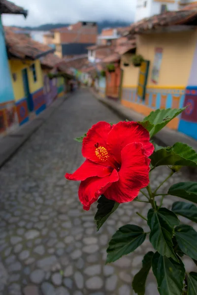 stock image Guatape, Colombia - April 2019 : Colorful houses in cloudy weather, HDR image