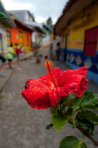 stock image Guatape, Colombia - April 2019 : Colorful houses in cloudy weather, HDR image