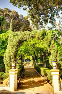 Seville, İspanya - 1 Haziran 2023: Yaz aylarında tarihi şehir merkezinin güzel manzarası, HDR Image