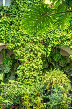 Seville, İspanya - 1 Haziran 2023: Yaz aylarında tarihi şehir merkezinin güzel manzarası, HDR Image