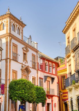 Seville, İspanya - 1 Haziran 2023: Yaz aylarında tarihi şehir merkezinin güzel manzarası, HDR Image