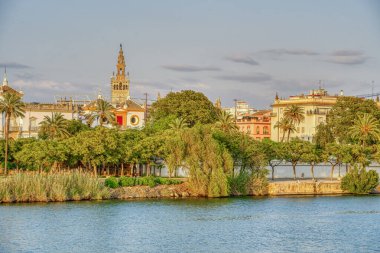 Seville, İspanya - 1 Haziran 2023: Yaz aylarında tarihi şehir merkezinin güzel manzarası, HDR Image