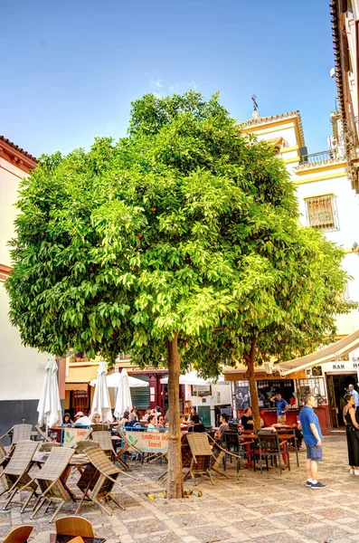 西班牙塞维利亚 2023年6月1日 夏季历史市中心美景 人类发展报告 — 图库照片