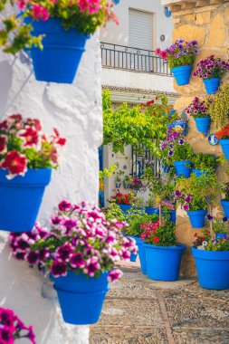 Iznajar de Cordoba, İspanya. Canlı bitkilerle süslenmiş evler dekorasyon için. Sokaklar bol bitki süslemeleri olan evlerle dolu..