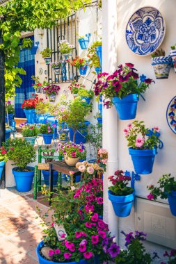 Iznajar de Cordoba, İspanya. Canlı bitkilerle süslenmiş evler dekorasyon için. Sokaklar bol bitki süslemeleri olan evlerle dolu..