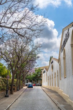 Jerez de la Frontera, İspanya - Haziran 12023: Güneşli havada tarihi şehir merkezi