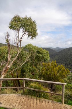 Great Ocean Road manzara, Victoria, Avustralya