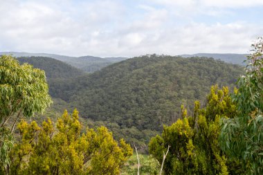 Great Ocean Road manzara, Victoria, Avustralya