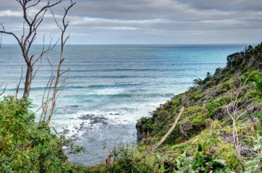 Avustralya 'daki Büyük Otway Ulusal Parkı manzarası